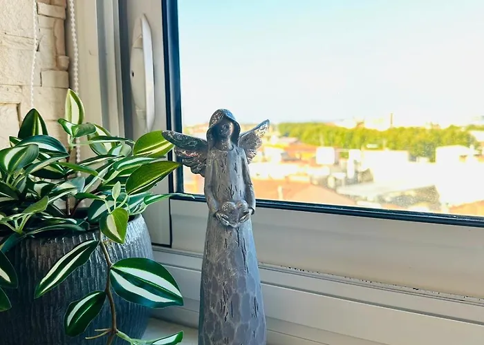 Bulle De Charme Avec Vue Apartament *