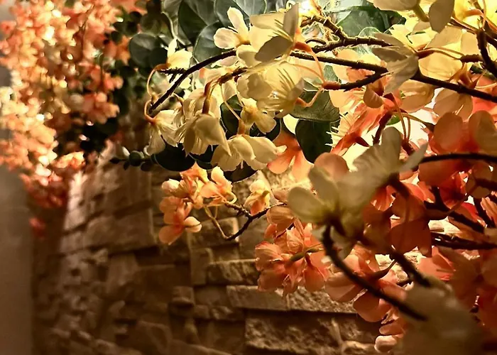 Bulle De Charme Avec Vue Apartament